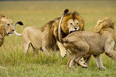 谋杀悬疑片《利刃出鞘2》角色海报公布 12月23日上线